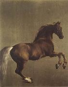 George Stubbs Whistlejacket oil